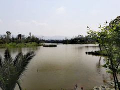 -枫香湖儿童公园