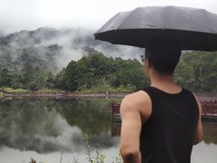 -海南热带雨林国家公园吊罗山景区