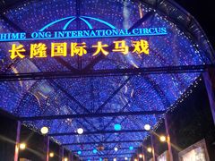 -广州长隆国际大马戏