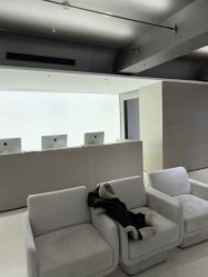 -上海时光整形外科医院