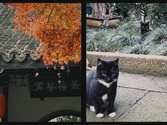 -惠山古镇·寄畅园