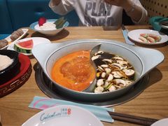 -青瓷火锅料理(西单大悦城店)