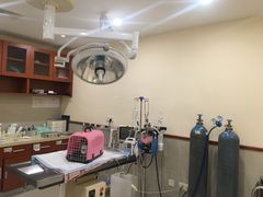 -艾贝尔宠物医院·24H转诊中心·肿瘤猫专科(江宁双龙店)