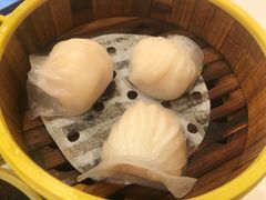 金鼎鮮味虾饺皇-广州酒家(文昌总店)