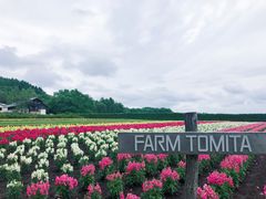 -富田农场