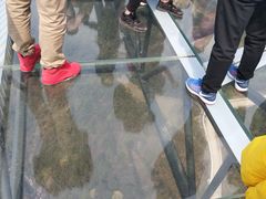 -梦幻奥陶纪景区