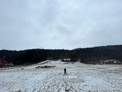 -武陵山森林公园