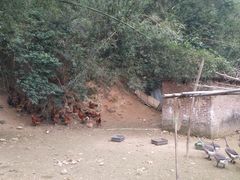 -鹿福农庄(南沙天后宫店)