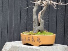 -觀芷隐轩·宋宴(河坊街店)