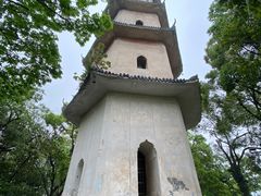 -江心屿景区