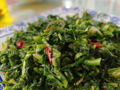 凉拌荠荠菜-西府酒家(太白山店)
