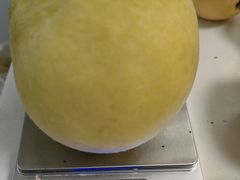 -樂桃源奉贤黄桃种植采摘基地