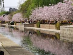 -海棠花溪(元大都城垣遗址公园)
