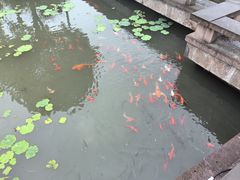 -绍兴大禹开元观堂-若耶厅