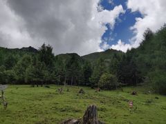 -硗碛藏寨·神木垒景区