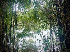 -艾溪湖湿地公园