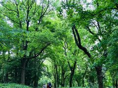 -虞山风景区