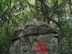 -天鹿湖森林公园