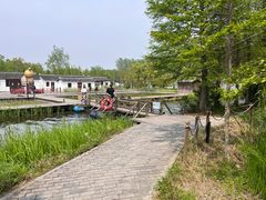 -溱湖国家湿地公园