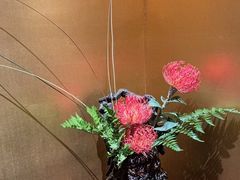 -觀芷隐轩