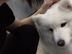 人很好的sheirley教练和超治愈很常来的没有教练不和它自拍的吉祥物-VPsmart私教健身工作室(新华路旗舰店)