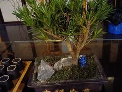 -五岳宫·私房菜