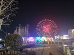 -琴岛之星摩天轮