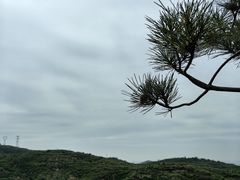 -五龙城郊森林公园