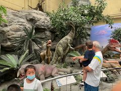 -国家自然博物馆