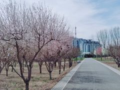 -东郊湿地公园