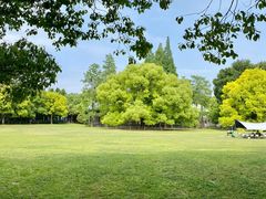 -上海共青森林公园