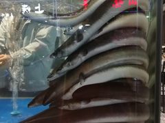 -本炙炭烤·蒲烧活鳗料理店(金沙洲店)