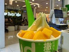 -Salud撒露欧洲冻酸奶(蓝色港湾店)