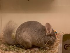 -龙猫仔乐园(惠福东路店)