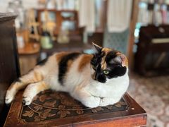 -BUND·FIVE外滩5号(天际店)