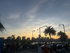 -野狸岛