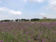 -光明小镇欢乐田园