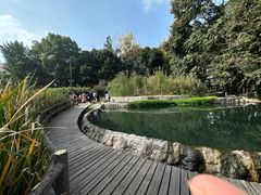 -成都市活水公园