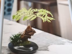 -铂诗玥医美