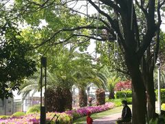 -北外滩滨江绿地