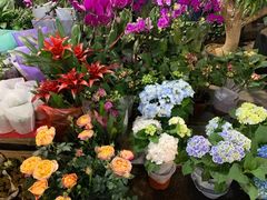 -循礼门鲜花花市(武汉循礼门店)