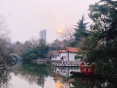 -西苑公园
