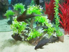 -洛阳龙门海洋馆