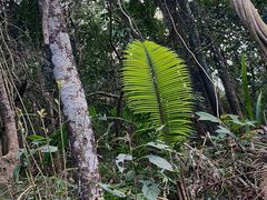 -广州锦绣香江度假别墅