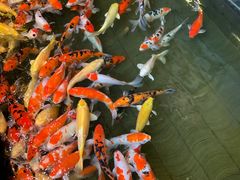 -唐山宴百姓府邸院落中餐