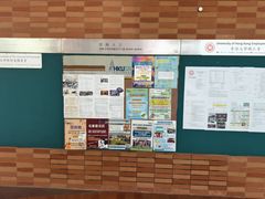 -香港大学