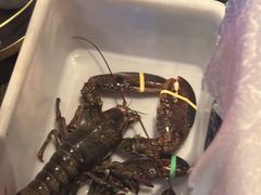 -鱼乐轩海鲜专门店