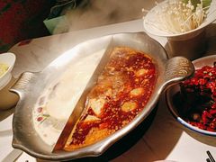 -九鼎轩脆毛肚火锅(三钢里店)