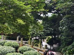 -十八棵（老龙井）御茶园(老龙井店)