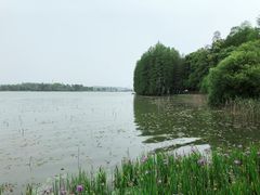 -东湖落雁景区